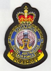 37 Squadron badge