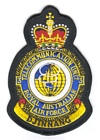 3 Telecommunications Unit badge