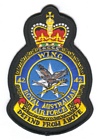 42 Wing badge