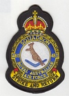 460 Squadron badge