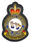 478 Maintenance Squadron badge