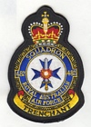 482 Squadron badge