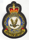 6 Hospital badge