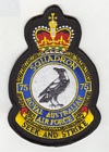 75 Squadron badge