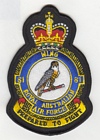 81 Wing badge