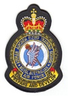 Airman Aircrew Flying Training School badge