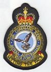 Air Command Band badge