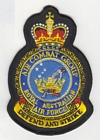 Air Combat Group badge