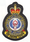 School of Air Traffic Control badge