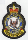 Air Training Wing badge