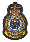 School of Air Warfare badge