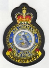 Air Command badge