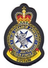 Base Squadron Amberley badge