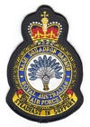 Base Squadron Darwin badge