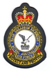 Base Squadron Richmond badge