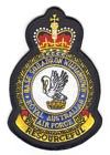 Base Squadron Williamtown badge