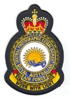Central Photographic Establishment badge