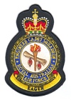 Engineer Cadet Squadron badge