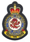 Hong Kong badge