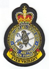 Surveillance & Control Group badge