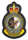 Surveillance & Control Training Unit badge