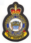 Support Command badge