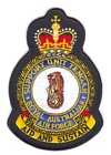 Support Unit Tengah badge