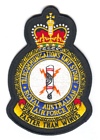 Telecommunications Unit Sydney badge