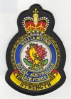 Williamtown badge