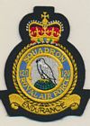 120 Squadron badge