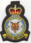 12 Squadron badge