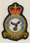 1310 Flight badge