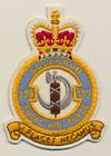 139 Squadron badge
