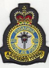 13 Squadron badge