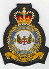 14 Squadron badge