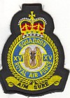 15 Squadron badge