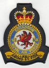 18 Squadron badge