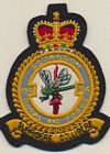 194 Squadron badge