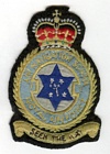 1 Air Navigation School badge