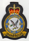 202 Squadron badge