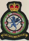 210 Squadron badge