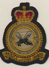 213 Squadron badge