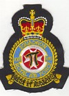 22 Squadron badge