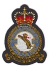 231 Operational Conversion Unit badge