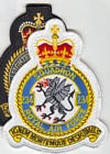 234 Squadron badge