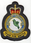 240 Operational Conversion Unit badge