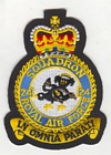 24 Squadron badge