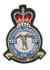 25 Squadron badge