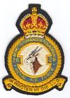 26 Squadron badge