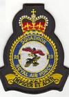 29 Squadron badge